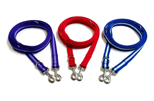 Police style dog training - police,