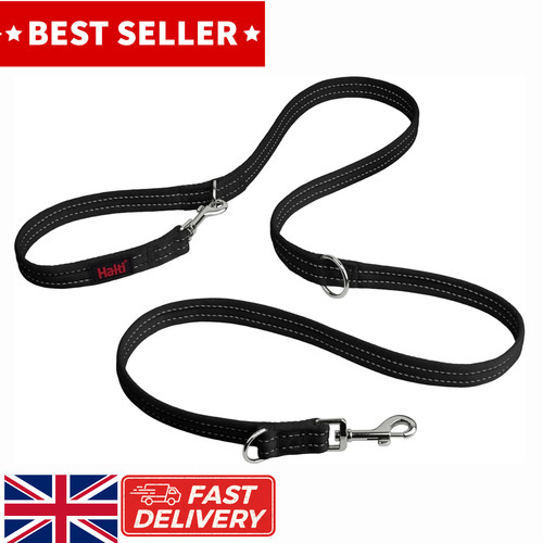 Dog training lead double - double, ended