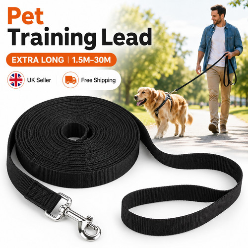 Extra long pet training - extra, lead