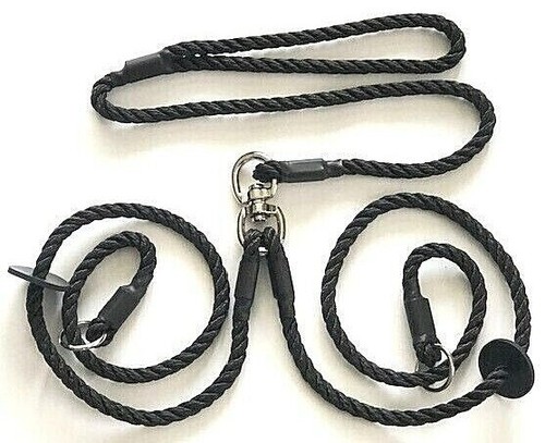 Double dog training - dog,