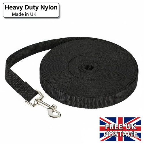 Extra long dog - dog, lead