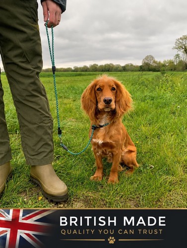 6mm gun dog slip - 6mm,