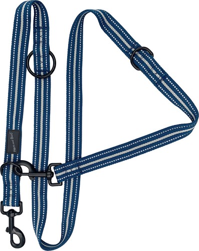 Training dog leash lead double - training,