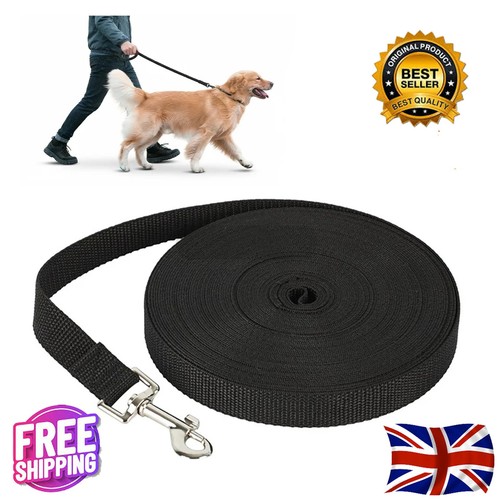 Extra long dog - long, lead