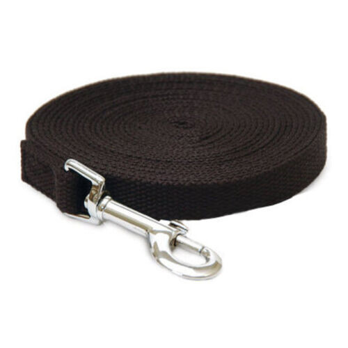 Dog training lead puppy long - lead,