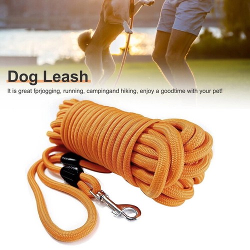 Long dog lead - dog, leash