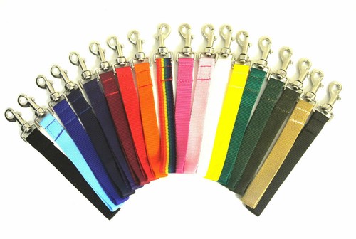 Short dog lead close - short, 10"