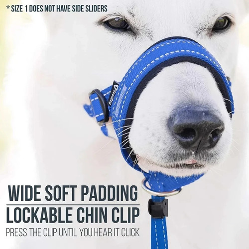 Figure dog lead with - 8,