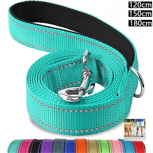 Nylon dog lead - dog,