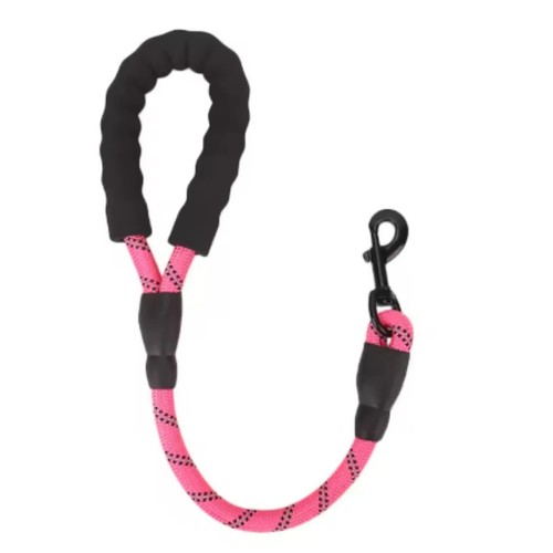 Training dog leash - training, short
