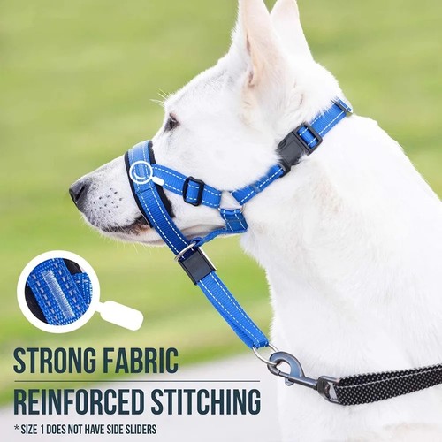 Figure dog lead - of,