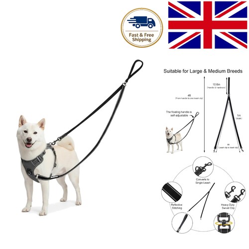 Durable anti pull dog - durable, lead