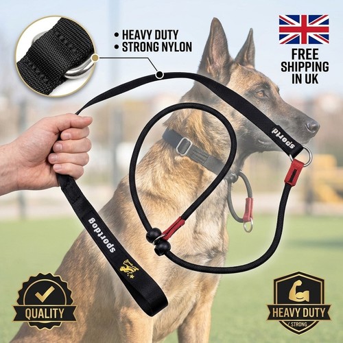 Black nylon slip lead dog - nylon,