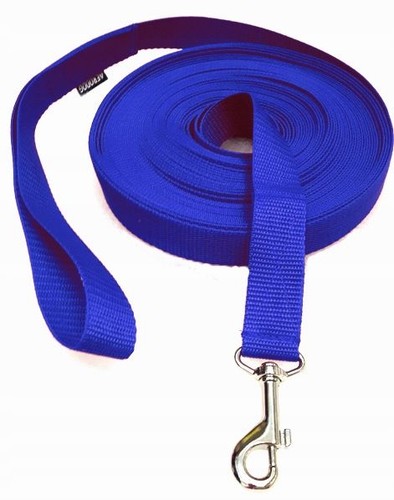 2cm dog training - training, leash