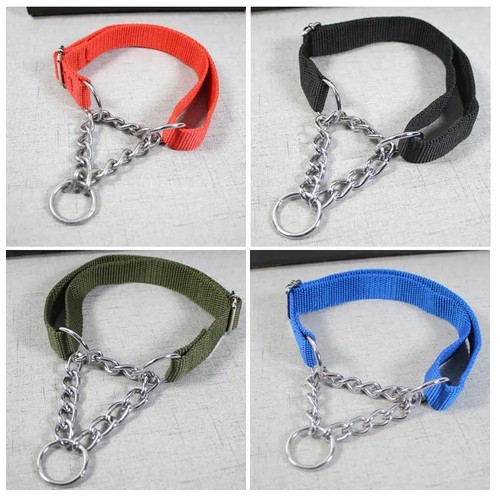 Martingale dog collar leash - dog, &