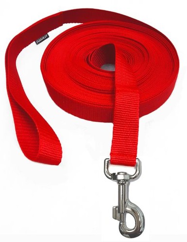 Training dog lead 3cm wide - 2m,