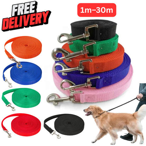 Extra long dog - dog, training