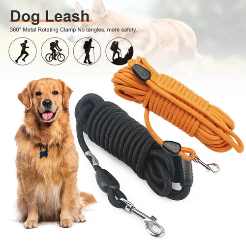 Pet dog training lead - dog, long