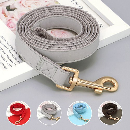 Pet dog lead - lead, nylon