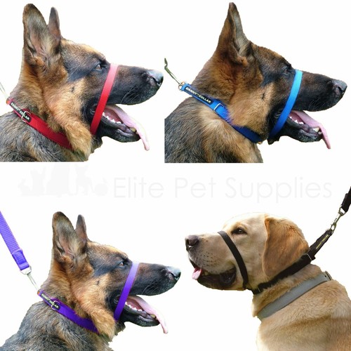 Canny collar dog training - canny,