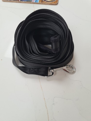 Long training leash - training,
