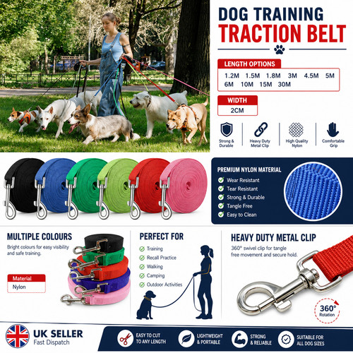 Extra long dog training lead - training,