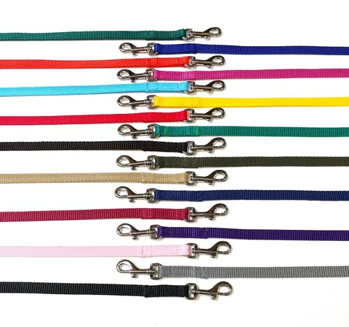 Puppy small dog walking - 45",