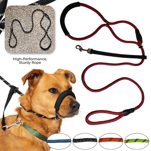 Figure dog lead - lead, with