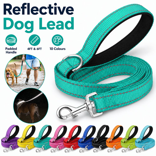 Nylon dog lead - lead, reflective