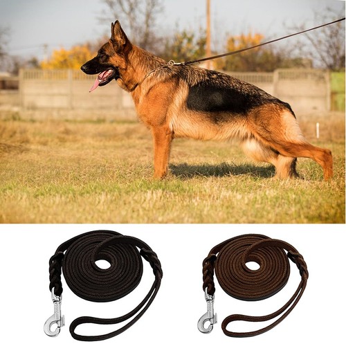 Genuine leather braided dog - leather,