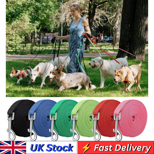 Extra long dog - training, lead