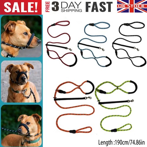 Figure dog lead with - 8,