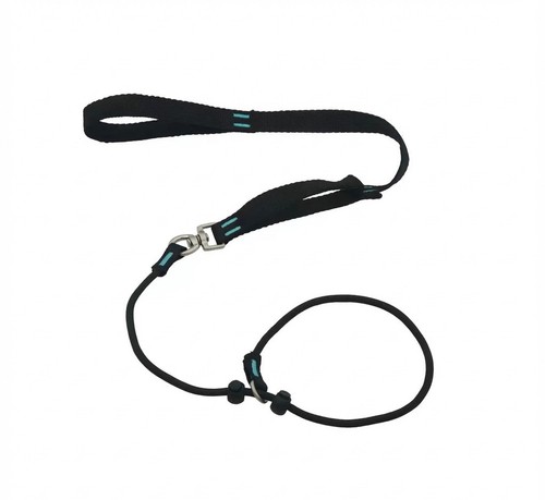 Training slip lead leash - 1.5m,