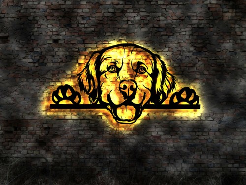 Golden retriever dog - retriever,