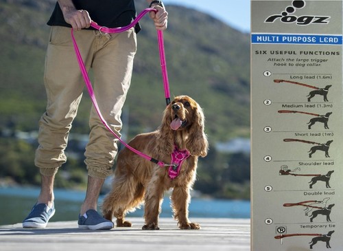 Rogz multi purpose lead dog - **,