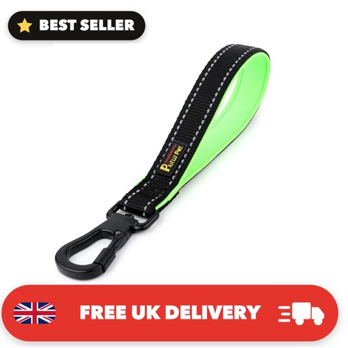 Short dog lead - short, with