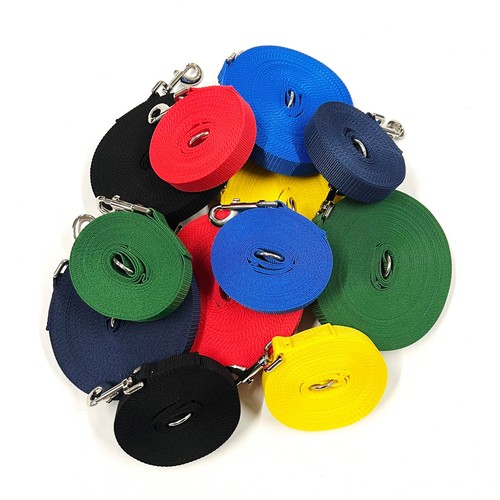 Dog training lead tracking - dog,