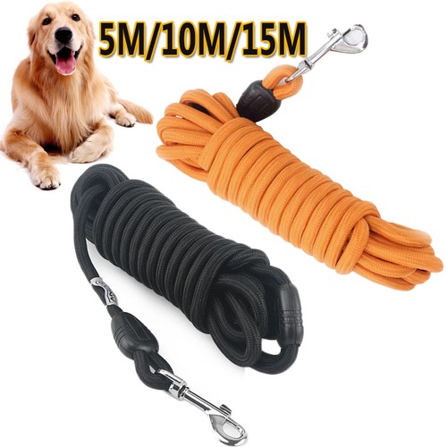 15m long dog - long, lead