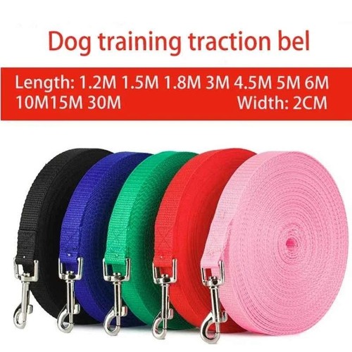 Extra long dog training - training, lead