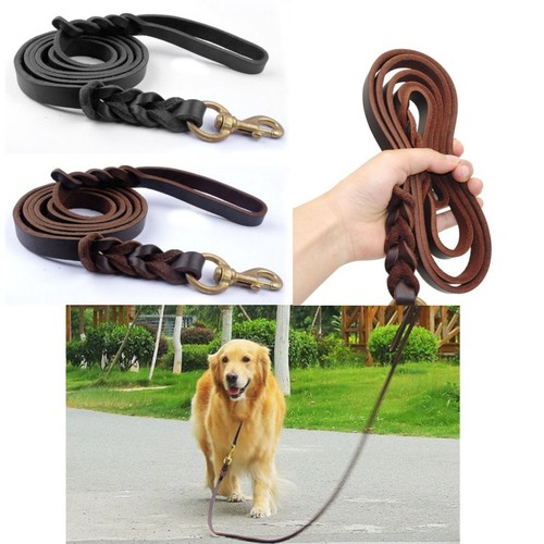 Genuine leather braided - genuine, dog