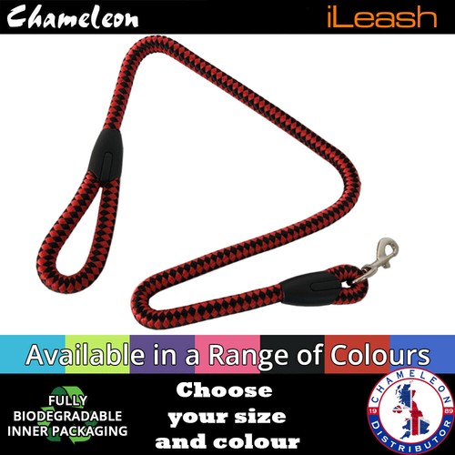 Dog training lead - lead, puppy