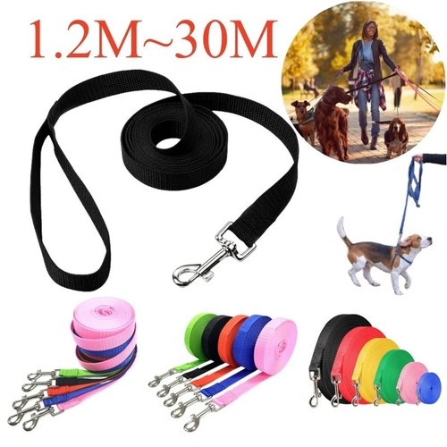 Extra long dog training recall - dog,