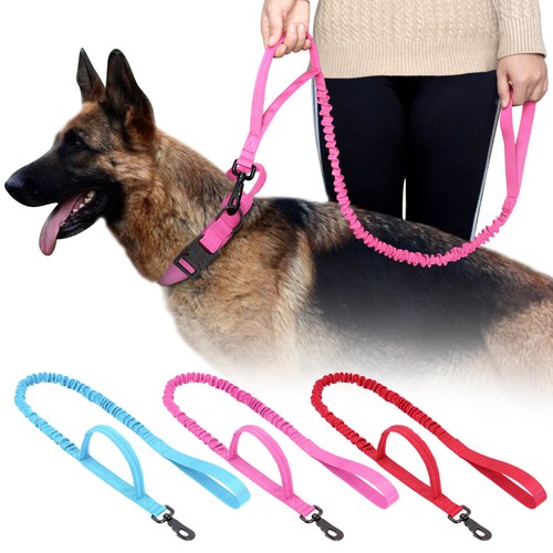 Military tactical dog - dog, lead