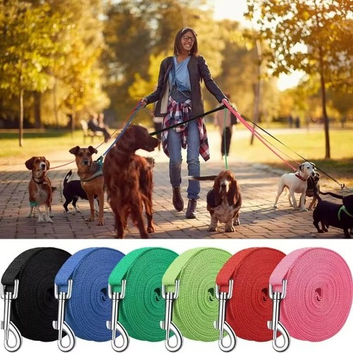 Dog training lead 3ft 100ft - -,