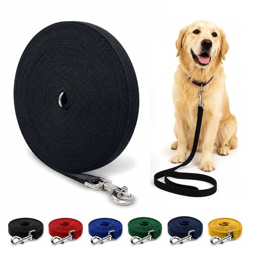 Dog training lead - training, recall
