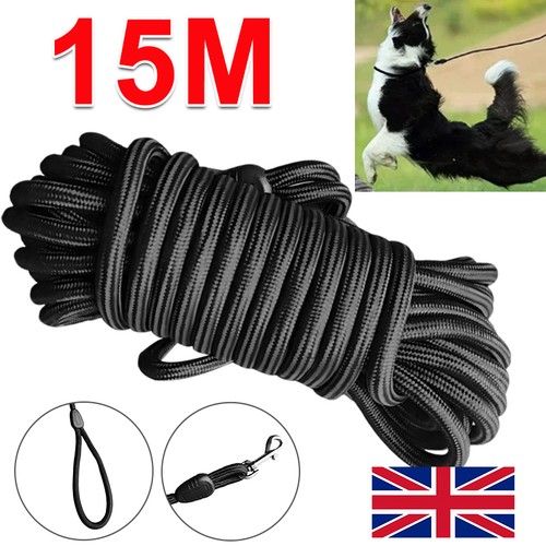15m pet dog - training, lead