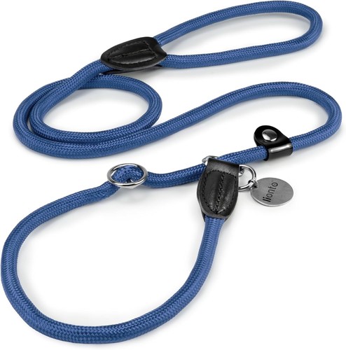 Retriever training leash - retriever,
